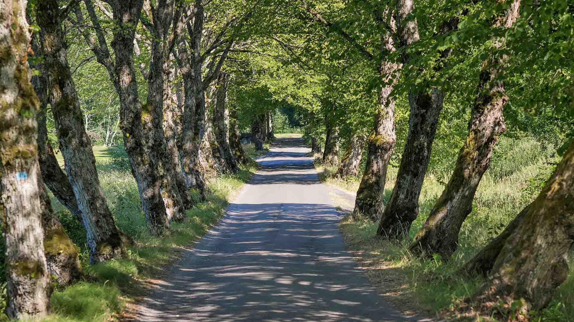 Grønt turområde i Vestby