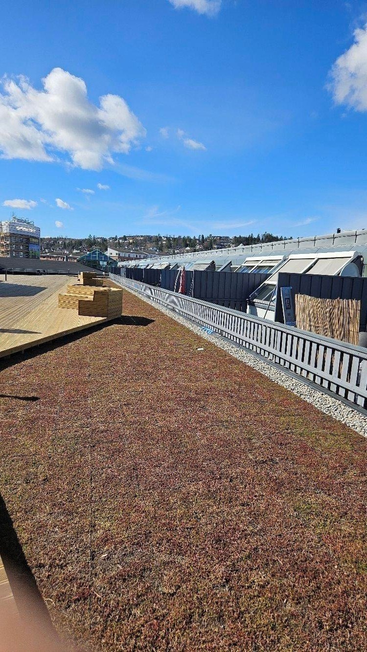 Felles takterrasse